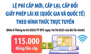1/12/2023 - 31/12/2025: Lệ phí cấp mới, cấp lại, cấp đổi giấy phép lái xe online là 115.000 đồng