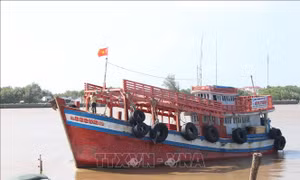Cà Mau quyết tâm cùng cả nước gỡ thẻ vàng IUU