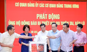 Hơn 907 tỷ đồng đăng ký ủng hộ đồng bào gặp thiên tai, bão lũ