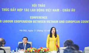 Cần cách tiếp cận mới để nâng cao hiệu quả công tác đưa người Việt Nam đi lao động ở châu Âu