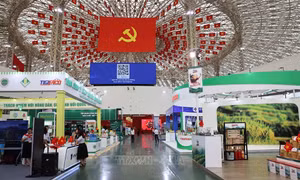 Triển lãm thành tựu đất nước: Du lịch các tỉnh, thành phố qua 34 gian trưng bày đặc sắc, độc đáo