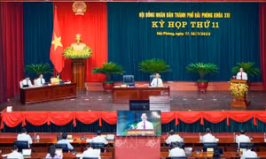 Hải Phòng rút ngắn thời gian họp HĐND để tập trung phòng, chống mưa bão