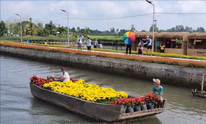 'Phố ông Lang' - Điểm du lịch sinh thái độc đáo, miễn phí tại Cần Thơ