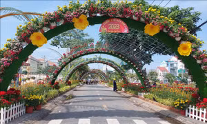 Bến Tre: Đa dạng hoạt động văn hóa dịp Tết Nguyên đán Quý Mão