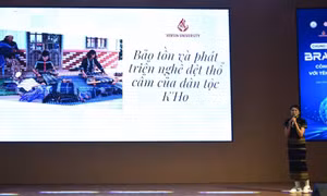 Đưa thương hiệu số với tên miền quốc gia '.vn' phổ cập tới người dân