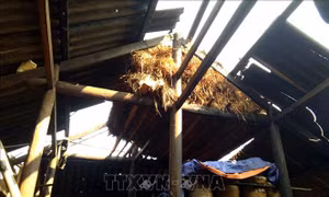 Mưa đá kèm tố lốc tại Yên Bái làm 198 căn nhà bị sập, tốc mái