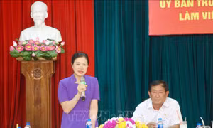 Đoàn công tác Ủy ban Trung ương Mặt trận Tổ quốc Việt Nam làm việc tại An Giang