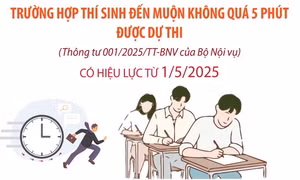 Dự thi tuyển dụng công chức, viên chức, thi nâng ngạch công chức