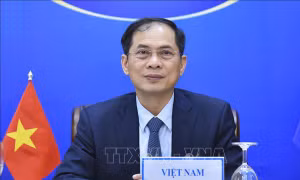 Khơi dậy tiềm năng của người Việt Nam ở nước ngoài, góp phần phát triển đất nước