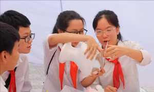 Hà Nội tăng cường xây dựng văn hóa học đường