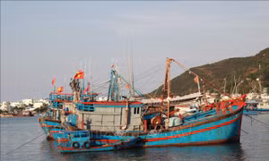 Nhiều chủ tàu lo lắng vì thiếu lao động đi biển