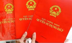 Vẫn chưa tìm thấy 1.029 phôi giấy chứng nhận quyền sử dụng đất ở Kiên Giang