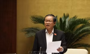 Kỳ họp thứ 8, Quốc hội khóa XIV: Thông cáo báo chí số 6