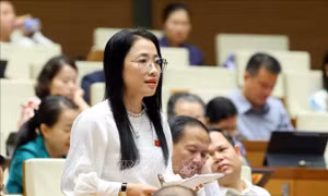 Quốc hội khóa XV Thảo luận về việc tiếp tục giảm thuế VAT 2% đến hết năm 2026