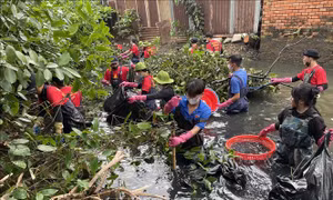 Lan tỏa hành động đẹp về môi trường của những 'chiến binh xanh'