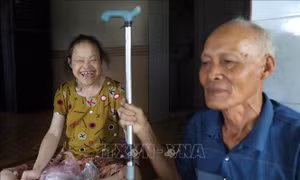65 năm thảm họa da cam: Mở rộng chính sách, chung tay hàn gắn