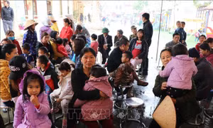 Bộ Y tế đề nghị dừng xét nghiệm máu để chẩn đoán sán dây lợn