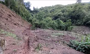 Điện Biên xuất hiện thêm nhiều cung đường bị sạt trượt, gây nguy cơ mất an toàn