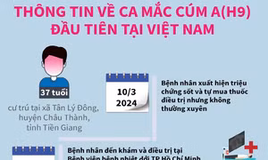 Thông tin về ca mắc cúm A(H9) đầu tiên tại Việt Nam