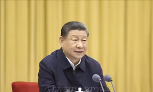 Chủ tịch Trung Quốc Tập Cận Bình điện đàm với Thủ tướng Anh Keir Starmer