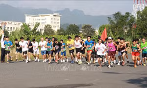 Giải Việt dã truyền thống Cúp Báo Hòa Bình năm 2023