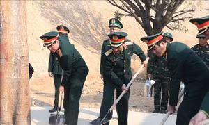 Bộ Quốc phòng phát động 'Tết trồng cây đời đời nhớ ơn Bác Hồ'