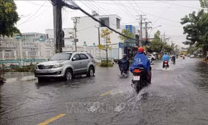 Thiên tai gây thiệt hại lớn đến đời sống, sản xuất của người dân Cà Mau