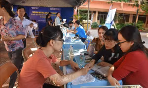 Phiên giao dịch việc làm dành riêng người thôi việc sau sắp xếp