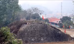 Biên cương trong màu xanh hòa bình