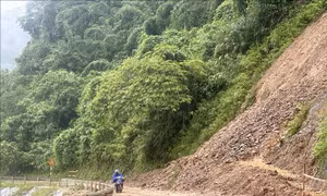 Cảnh báo lũ quét, sạt lở đất ở 6 tỉnh Bắc Bộ, cao nguyên Trung Bộ