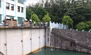 Thủ tướng yêu cầu Bộ Công an điều tra nguyên nhân ô nhiễm nguồn nước cấp cho Hà Nội