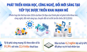 Phát triển khoa học, công nghệ, đổi mới sáng tạo tiếp tục được triển khai mạnh mẽ