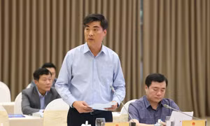 Đã hoàn thành mẫu nhà chống lũ cho miền Trung