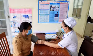 Xây dựng vùng biên bình yên, vững mạnh - Bài 1: Niềm vui mới, sức sống mới