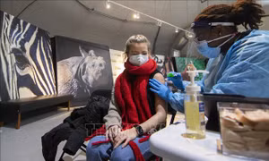 Mũi vaccine tăng cường và miễn dịch tự nhiên giúp giảm nguy cơ nhiễm các biến thể mới 
