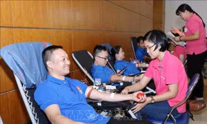 Tháng Thanh niên 2020: Sôi nổi các hoạt động an sinh xã hội của Tuổi trẻ Thủ đô