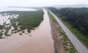 Ứng phó bão số 9: Bảy tỉnh, thành phố triển khai việc đảm bảo an toàn hệ thống đê điều