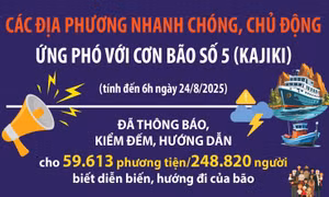 Các địa phương nhanh chóng, chủ động ứng phó với bão số 5
