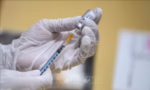 Nhật Bản triển khai tiêm phòng vaccine ngừa COVID-19 cho trẻ từ 5-11 tuổi