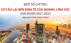 Một số chỉ tiêu cơ cấu lại nền kinh tế của ngành, lĩnh vực giai đoạn 2021-2025
