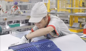 Nhiều doanh nghiệp Nhật Bản có kế hoạch mở rộng đầu tư tại Việt Nam