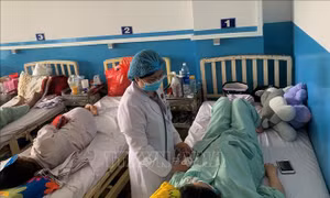 Biến chứng sốt xuất huyết có thể nguy hiểm tính mạng bà bầu và thai nhi