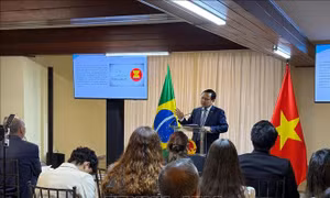 Tiềm năng và cơ hội hợp tác Việt Nam - Mercosur