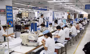 Quy chế làm việc của BCĐ về triển khai Chương trình phục hồi và phát triển KT - XH 