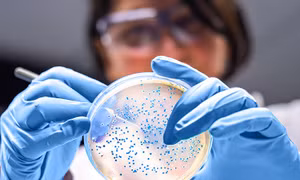 Các nhà khoa học xây dựng thành công cơ sở dữ liệu gene vi sinh vật toàn cầu