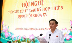 Cử tri kiến nghị cần tiếp tục có chính sách hỗ trợ các xã đã về đích nông thôn mới