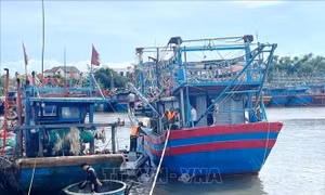 Ứng phó bão số 10: Quảng Trị cấm biển từ 17 giờ ngày 27/9
