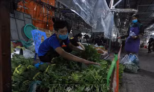Giá rau xanh tăng mạnh do mưa to kéo dài