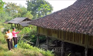 Chờ kinh phí di dời, 31 hộ dân ở Na Hang vẫn phải bám trụ trong những căn nhà siêu vẹo