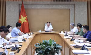 Xử lý vi phạm hành chính: Rà soát, tính toán kỹ để bảo đảm khả năng thực thi, tính răn đe và đồng thuận xã hội​